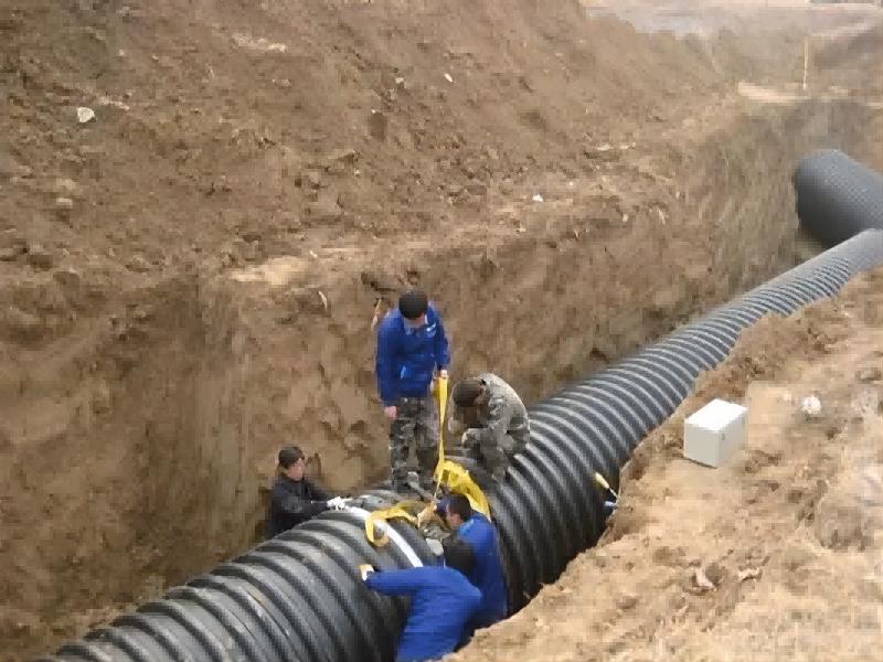 palapala noi2