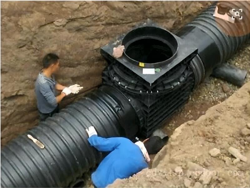 palapala noi3
